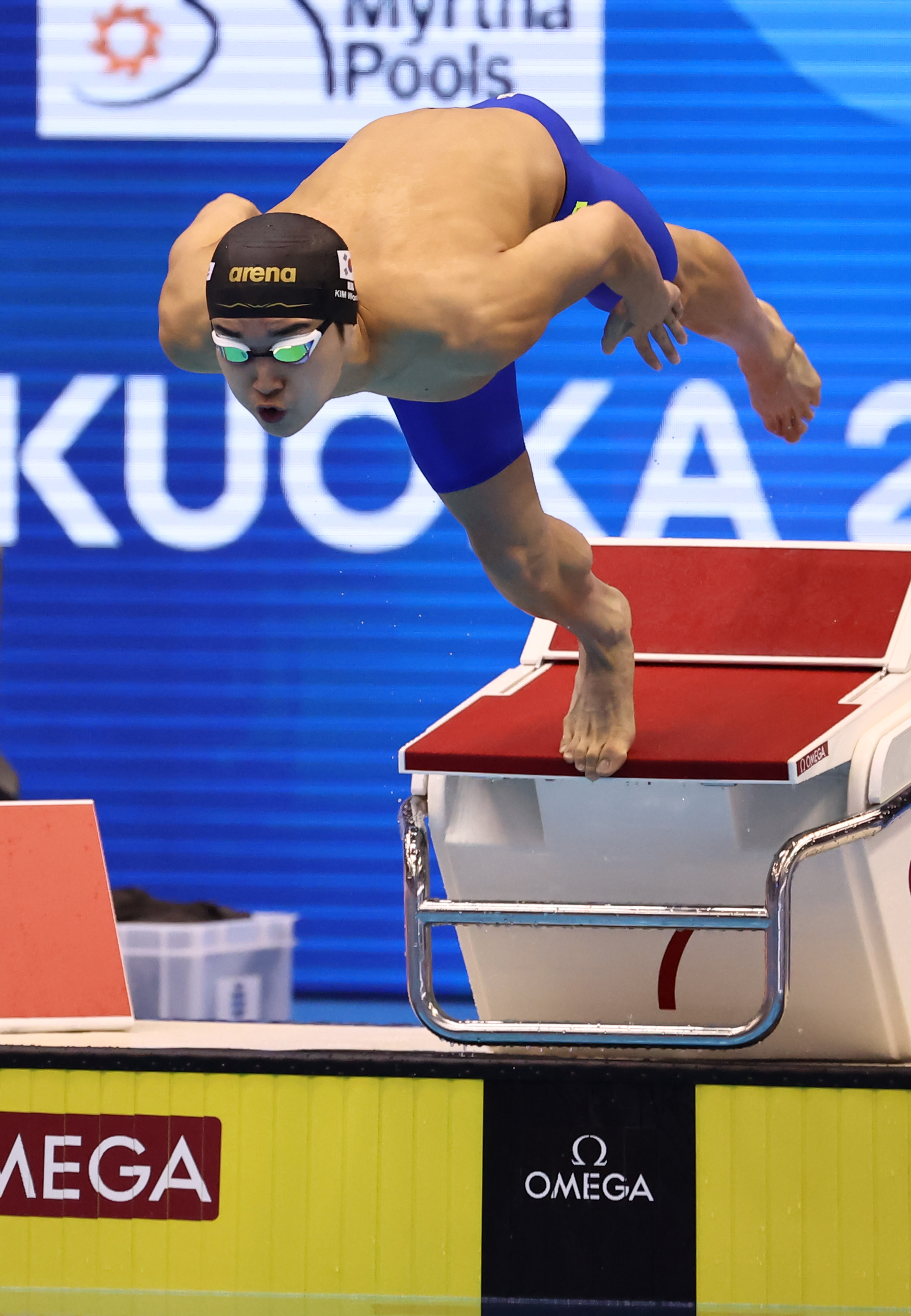 김우민이 23일 일본 후쿠오카 마린 메세 후쿠오카홀에서 열린 세계수영선수권 남자 자유형 400m 결손에서 출발대를 박차고 물에 뛰어들고 있다.  [후쿠오카 연합뉴스]