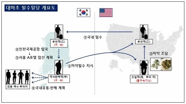 대마초 밀수 일당 개요도. 2023.7.24 인천공항세관 제공