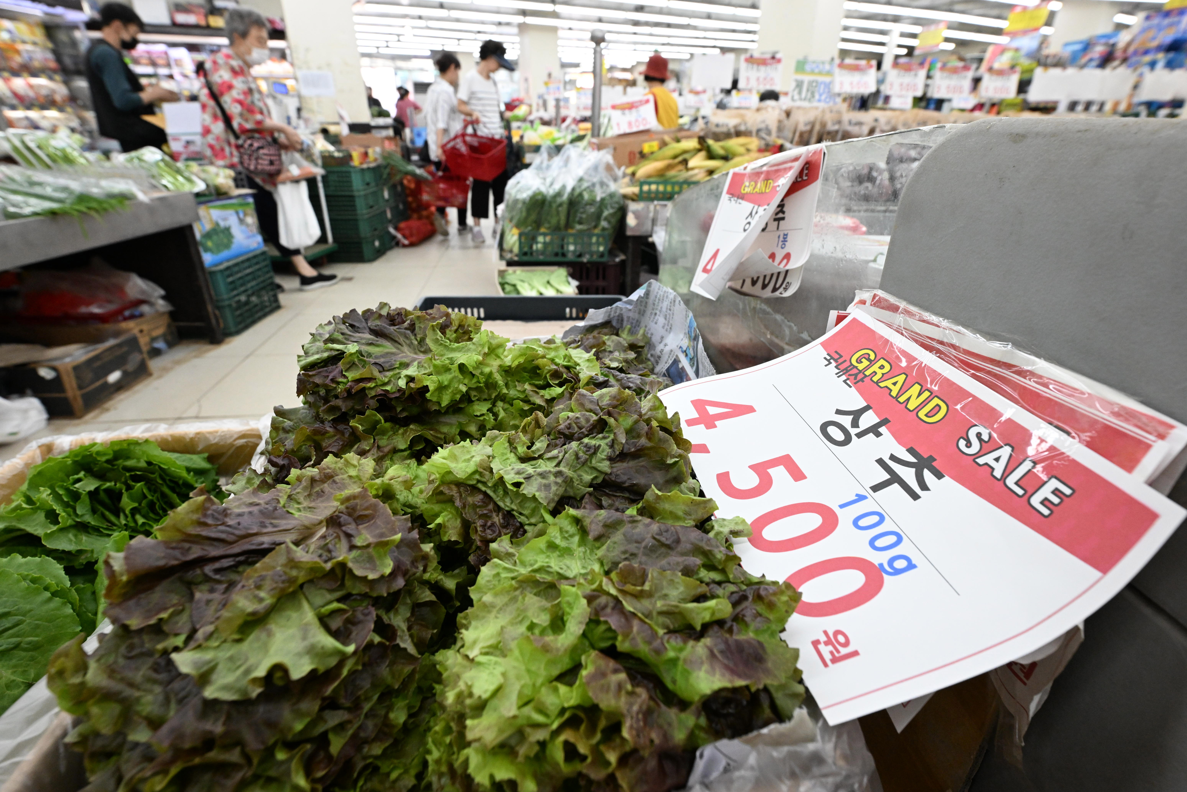 집중호우와 폭염등으로 채소류 가격이 폭등한 가운데 24일 오전 서울 영등포에 한 식자재마트 채소코너에 상추가격이 100g당 4,500원이 표시되어 있다. 2023.7.24. 도준석 기자