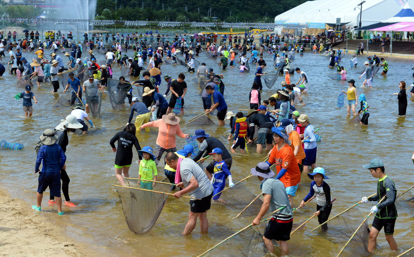 경북 봉화군 ‘봉화은어축제’ 참가자들이 반두를 이용해 은어를 잡고 있다. 봉화군 제공