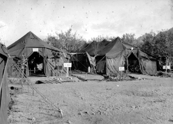 유엔평화기념관이 6·25 전쟁 소장품 모으기 캠페인에서 수집한 사진을 정전 70주년을 맞아 연합뉴스에 26일 일부 공개했다. 사진은 사과나무 아래 노르웨이 이동외과병원 모습. 2023.7.26. 유엔평화기념관 제공