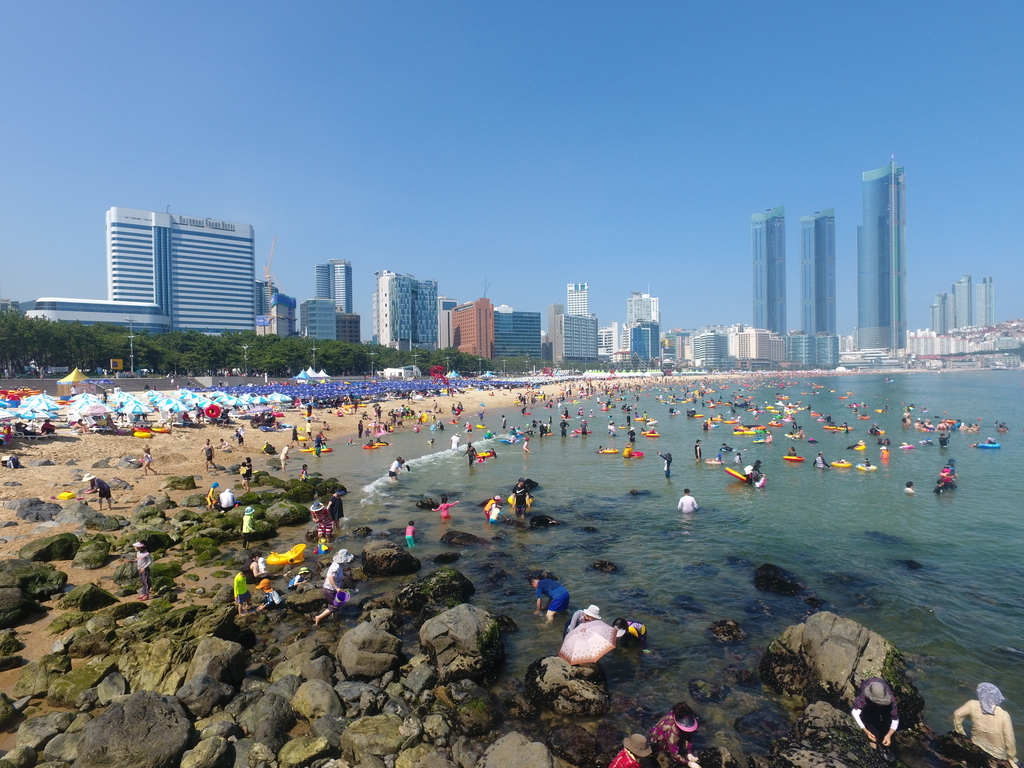 부산 해운대구 해운대해수욕장에서 피서객들이 해수욕을 즐기고 있다. 해운대구 제공