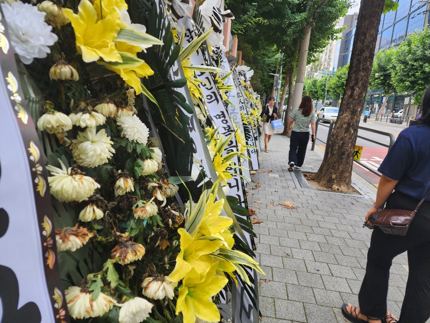 27일 서이초 앞 거리에 놓인 근조화환이 시들고 있는 모습. 김중래 기자