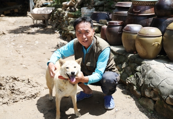 ‘27시간 만에 귀환’ 예천 반려견 진순이. 연합뉴스