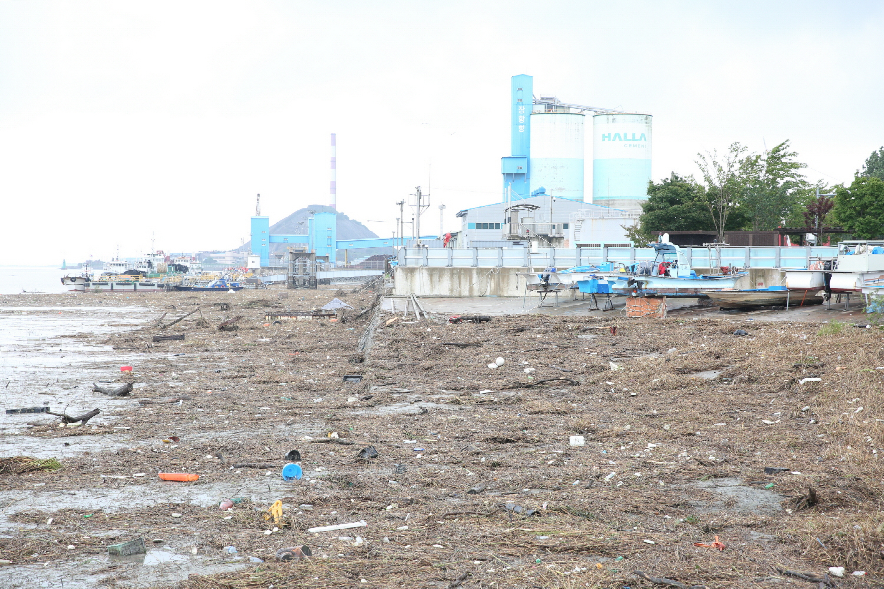 금강에서 떠내려온 부유 쓰레기가 서천군 장항 앞바다를 가득 채우고 있다.  서천군 제공