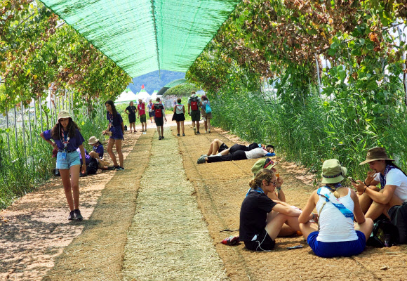 2023 새만금 세계스카우트 잼버리 참가자들이 7일 전북 부안군 잼버리장 덩굴터널에서 더위를 피하고 있다. 2023.8.7 연합뉴스