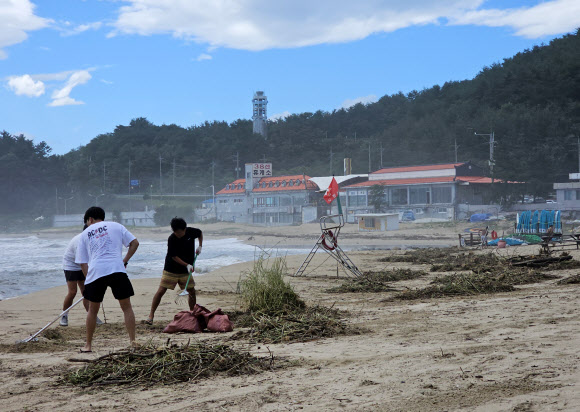 11일 강원 양양군 기사문 해변에서 지역 서핑숍 관계자들이 태풍의 영향으로 백사장에 밀려든 쓰레기들을 치우고 있다. 2023.8.11 연합뉴스