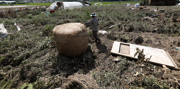 11일 대구 군위군 효령면 병수리에서 태풍 ‘카눈’에 피해를 본 농민들이 쑥대밭이 된 밭을 살펴보고 있다. 2023.8.11 연합뉴스