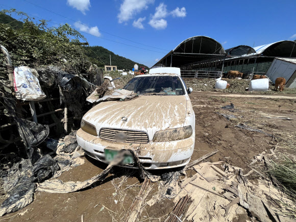 지난 10일 태풍 카눈으로 대구 군위군 효령면 병수리에서 60대 남성이 인근 둑이 터져 물에 휩쓸려 숨졌다. 사진은 11일 고인의 차량이 트렁크와 보조석 문이 활짝 열린 모습 2023.8.11 연합뉴스