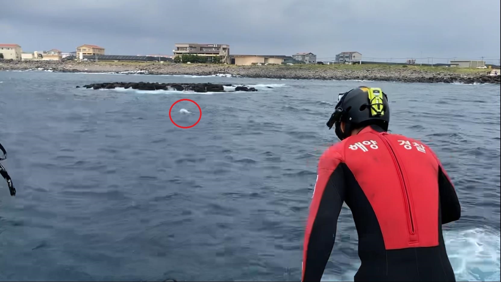 해경이 돌고래가 폐그물에 걸린 줄 알고 구하려고 바다에 뛰어들려고 하고 있다. 서귀포해양경찰서 제공