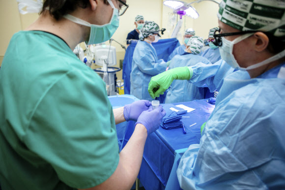 미국 앨라배마대학 의료진이 지난 2월 15일(현지시간) 인체에 이식할 돼지 신장 조직검사를 하고 있다. AP 자료사진 연합뉴스