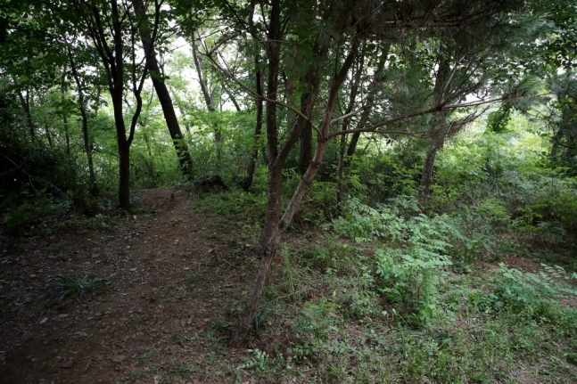 서울 관악구 신림동의 둘레길