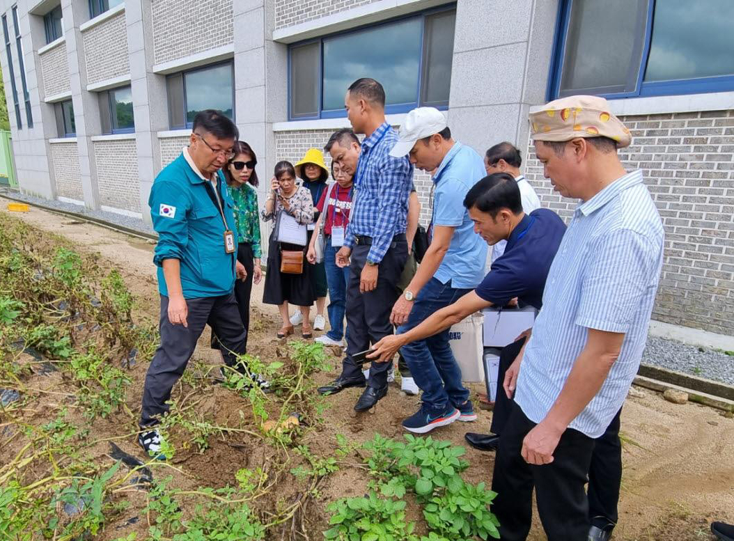 베트남의 농업과학원 산하 공무원 연수단원들이 한국 씨감자의 생산기술을 교육받고 있다. 단국대 제공