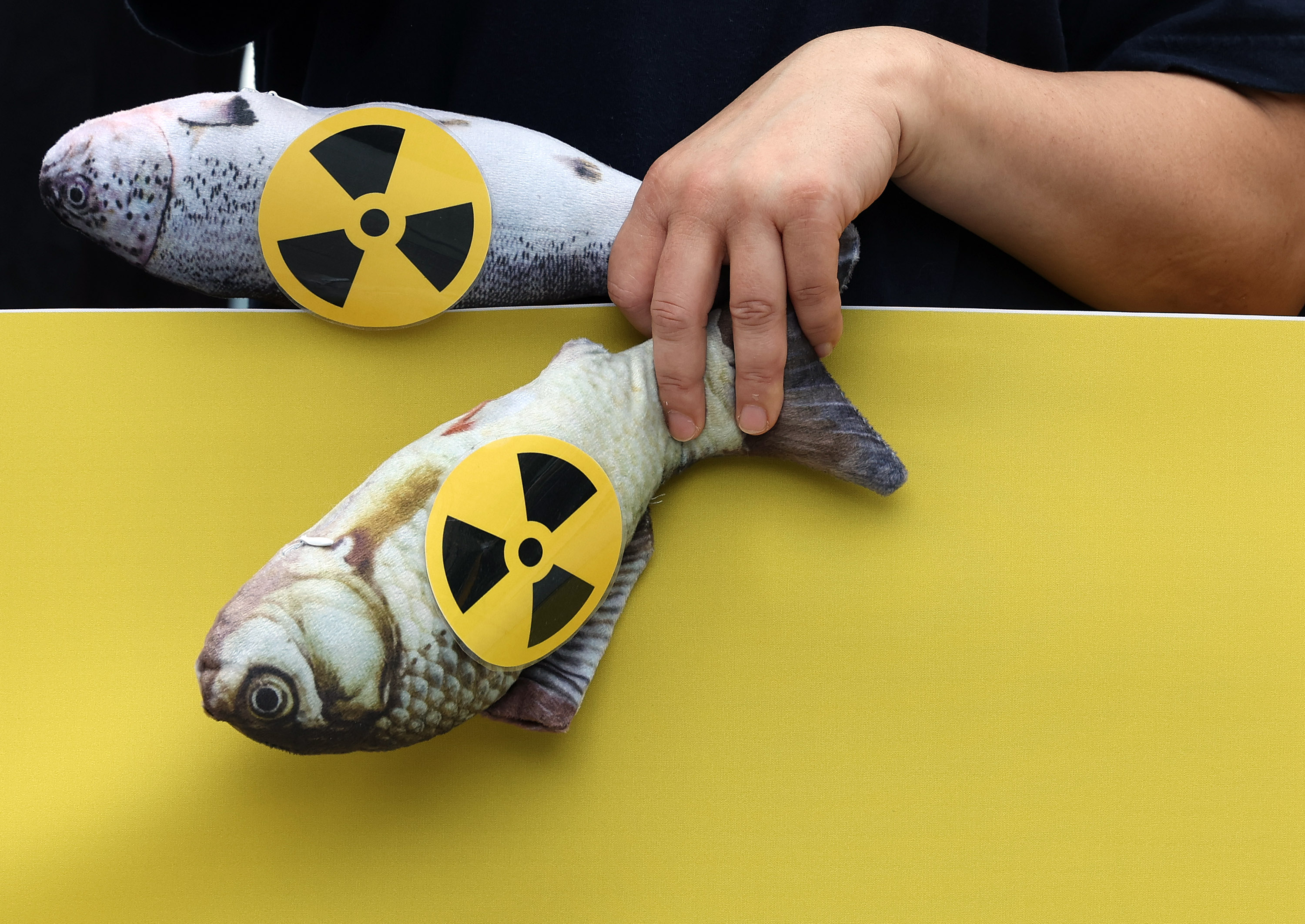 ‘후쿠시마 오염수 해양방류에 수산물은’