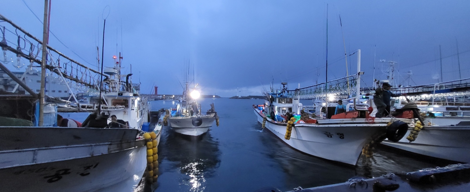 지난 24일 새벽 밤새 고기를 잡아올리고 제주항에 들어오는 어선들의 모습.  제주 강동삼 기자