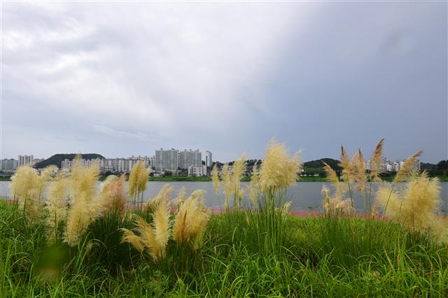 성큼 다가온 가을