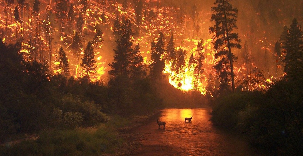 현재와 같은 지구온난화가 지속되면 상습 산불 지역인 미국 캘리포니아에서 극한 산불이 발생할 가능성이 매년 25%씩 증가한다는 분석 결과가 나왔다. 온난화가 더 심해질 경우 극한 산불 가능성은 172% 증가할 가능성이 있다는 경고도 나왔다. 위키피디아 제공