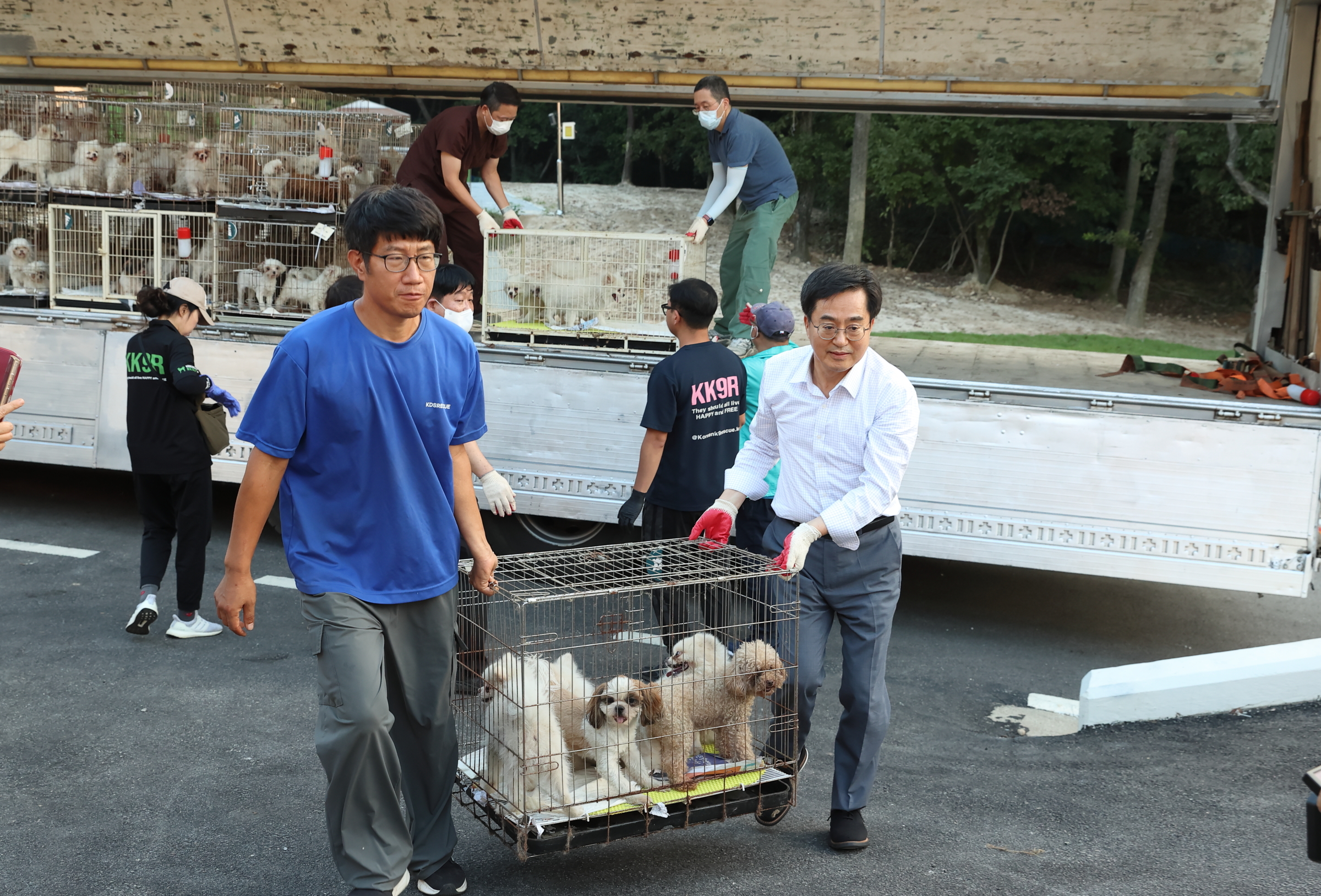1일 김동연 (오른쪽) 지사가 한 동물보호단체의 누리소통망 제보를 받고 화성시 팔탄면의 개 번식장에서 1400여 마리의 개를 구조하고 있다. 경기도 제공
