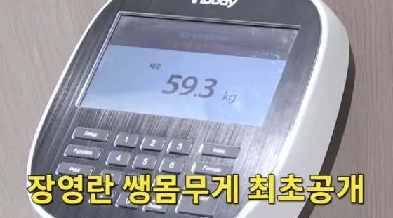 유튜브 ‘A급 장영란’ 캡처