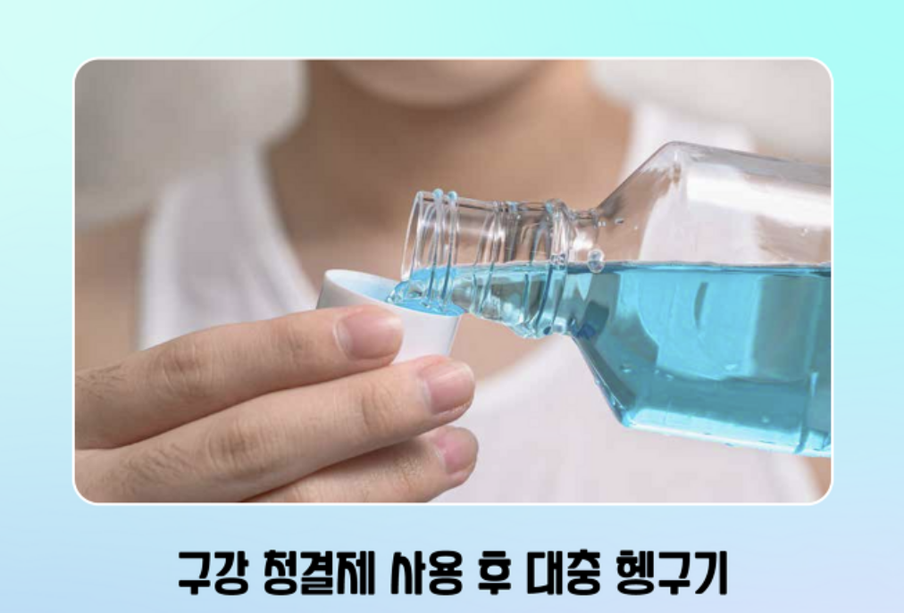 가지뉴스