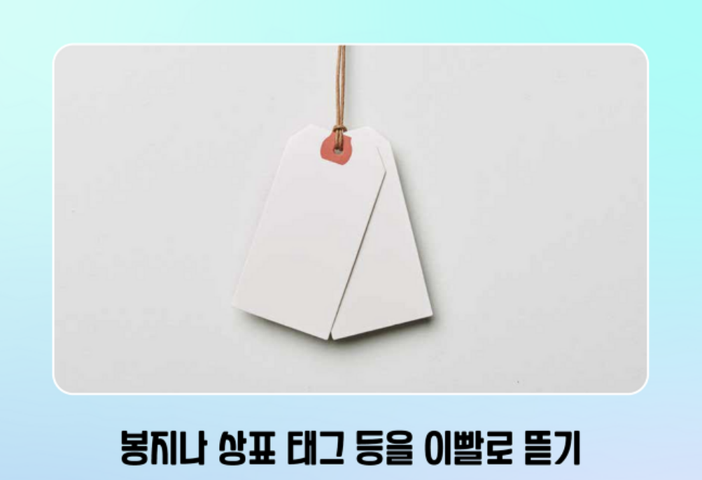 가지뉴스