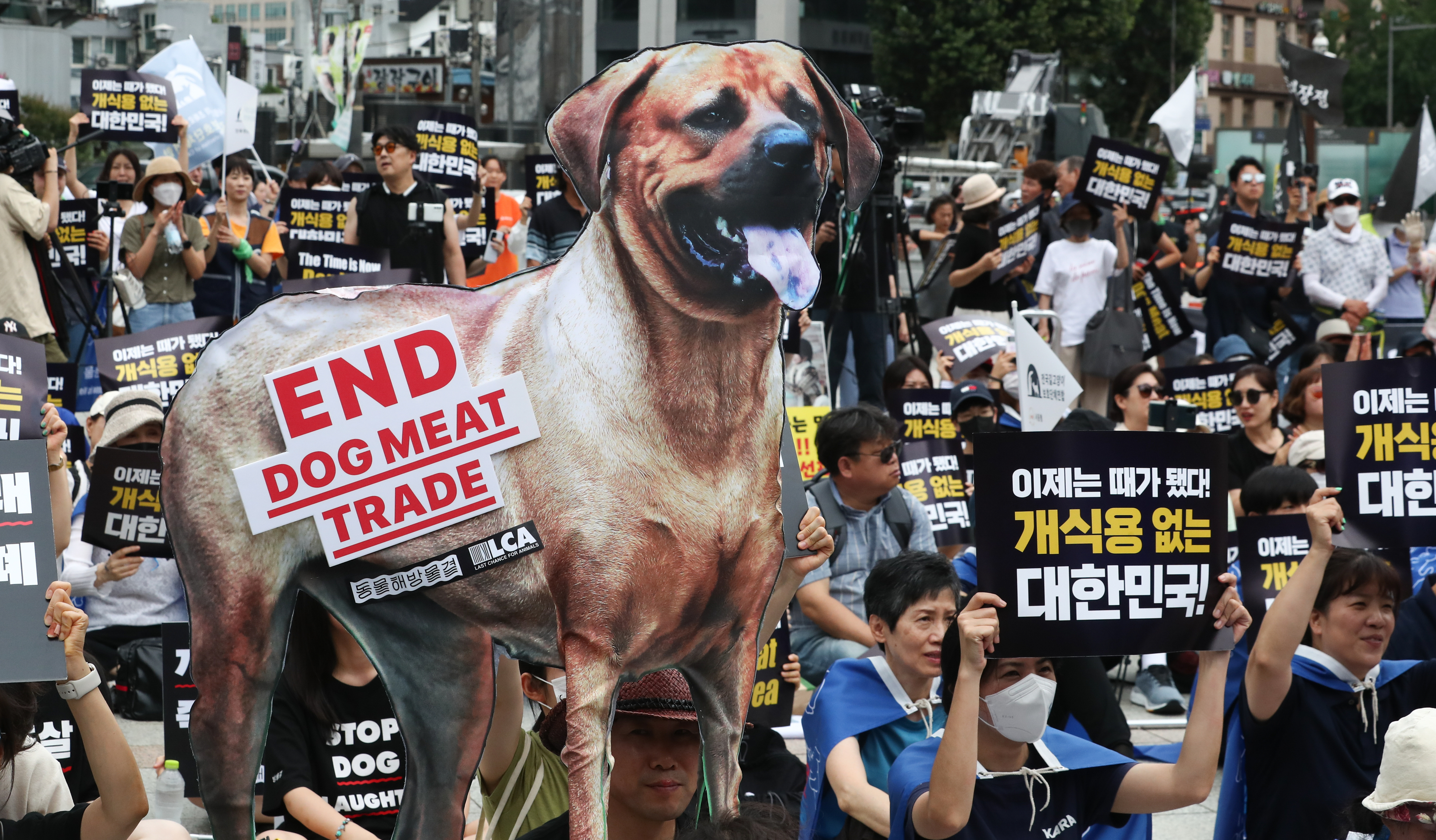 동물해방물결 관계자들이 지난 7월 8일 서울 종로구 보신각 앞에서 열린 ‘2023 개식용 종식 촉구 국민대집회’에서 구호를 외치고 있다. 2023.7.8 뉴스1