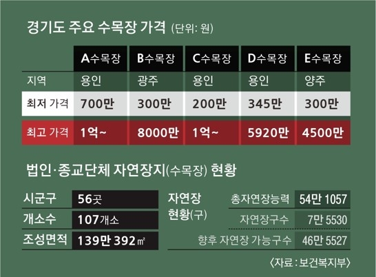 그래픽 김예원