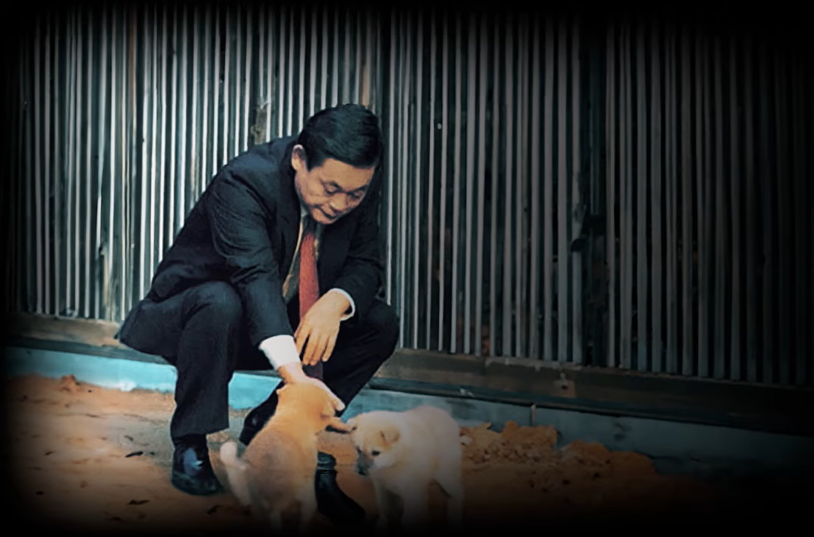 삼성이 품종 보존을 위해 관리하던 어린 진돗개들과 시간을 보내고 있는 이건희 선대회장의 생전 모습. 삼성 제공