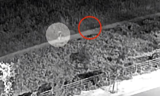 전주시 완산구 삼천 천변에서 산책하던 여성의 목덜미를 잡아 풀숲으로 끌고 간 남성의 모습이 담긴 CCTV 영상. YTN 캡처