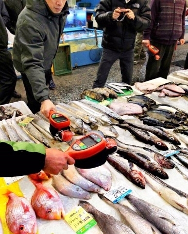 동일본 대지진 직후인 2011년 3월 서울 송파구 가락시장 수산물동에서 공무원들이 휴대용 방사선 검사기로 일본산 수산물을 측정하고 있다. 서울신문 DB (기사와 직접 관련 없습니다.)