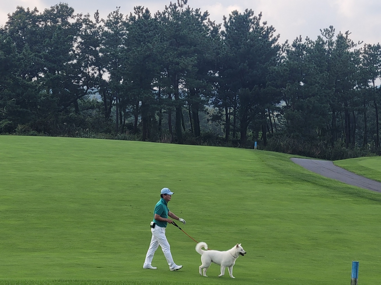 롯데스카이힐CC 제주에서 반려견과 동반 라운딩하는 모습. 롯데호텔앤리조트 제공