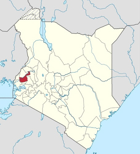 케냐 서부 지방 도시 카카메가(붉은색)가 표시된 지도. 구글 이미지 캡처