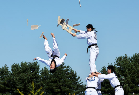 5일 오전 경기도 용인시 육군 제55사단에서 열린 부대개방행사에서 1군단 태권도시범단이 송판을 격파하고 있다. 2023.10.5 연합뉴스