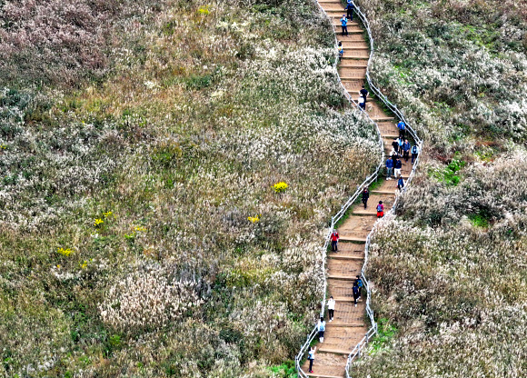 억새 만발한 민둥산