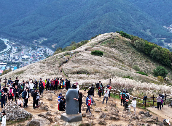 억새 만발한 민둥산