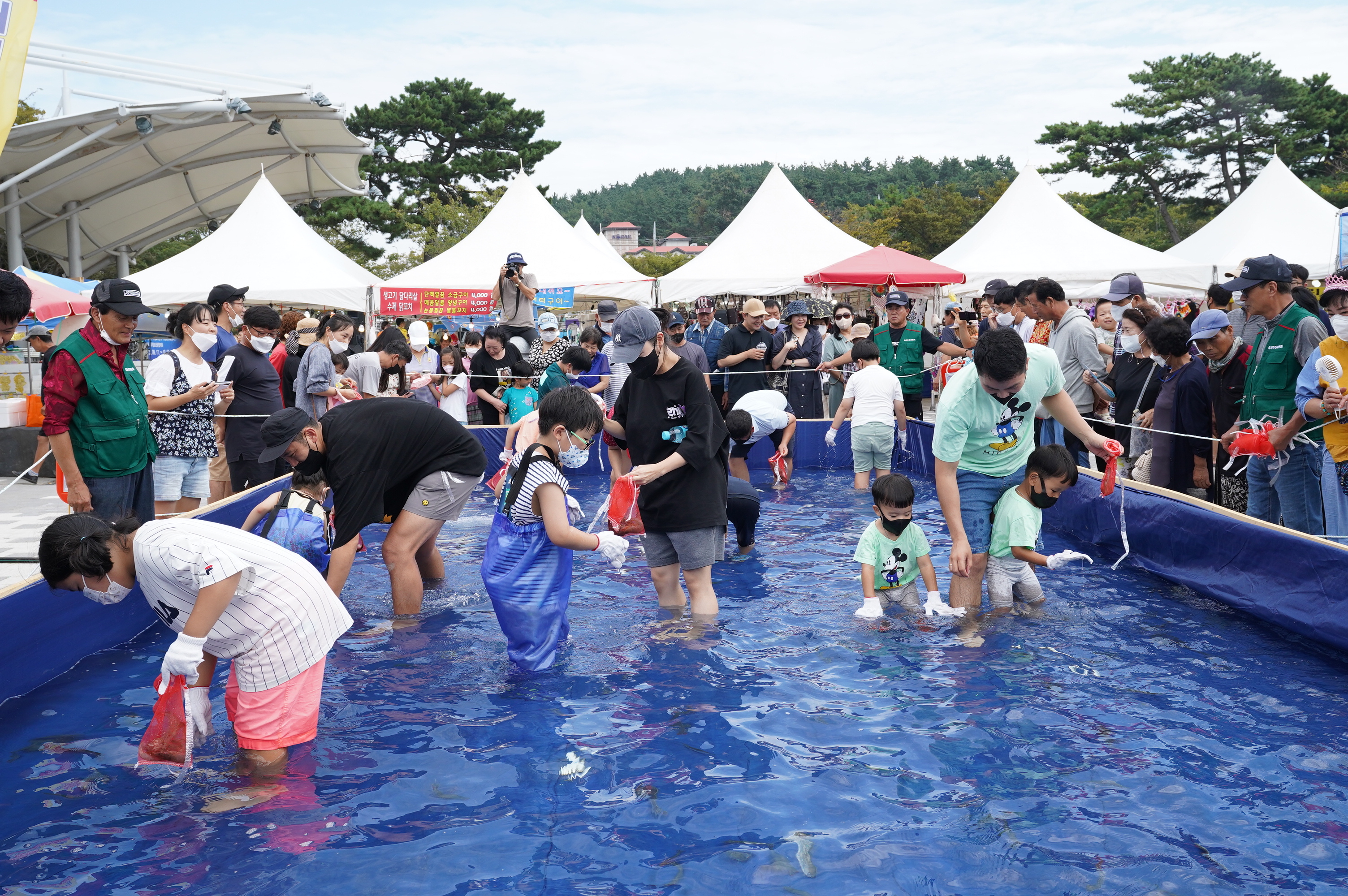 충남 보령시 일원에서 맨손 물고기 잡기 행사가 열리고 있다. 보령시 제공