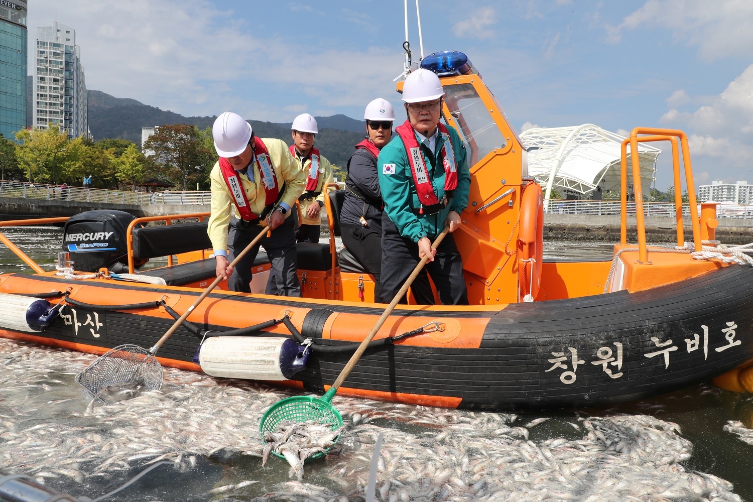 지난 14일 홍남표 창원시장이 마산합포구 3·15해양누리공원 일대에서 정어리 폐사체를 수거하고 있다. 2023.10.16 창원시 제공