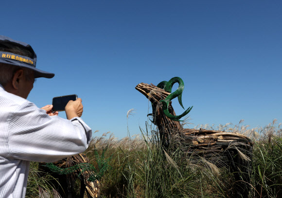 17일 오후 서울 마포구 월드컵공원 하늘공원을 찾은 시민이 산불피해목으로 만든 사슴 모양의 작품을 휴대전화로 사진찍고 있다. 서울시 서부공원여가센터는 ‘제1회 월드컵 새활용 문화전: 공원 보다’를 열고 충남 홍성, 강원 강릉, 동해 등 산불 피해 지역에서 수집한 산불피해목을 주요 소재로 한 곰 형태의 ‘애쉬 베어’(Ash Bear) 1점과 사슴 모양의 ‘숲의 정령’ 2점을 선보였다. 2023.10.17 연합뉴스