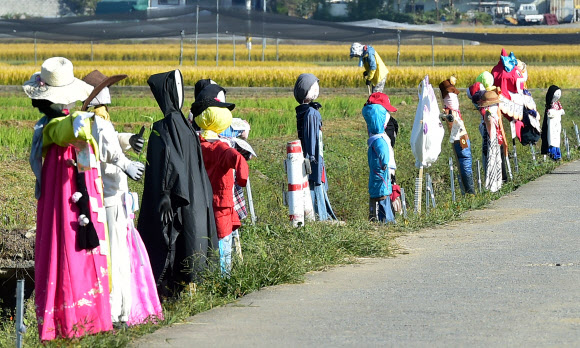 18일 대구 북구 학정동 들녘에 ‘논두렁밭두렁 마을축제’을 위해 주민들이 만든 허수아비가 정겨운 가을풍경을 연출하고 있다. 2023.10.18.  뉴시스