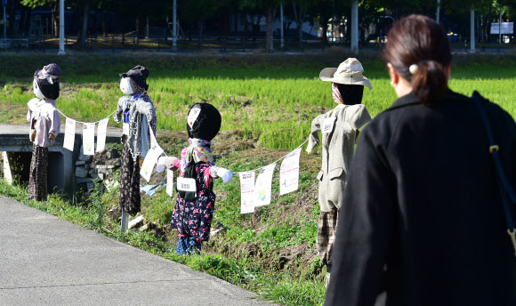 18일 대구 북구 학정동 들녘에 ‘논두렁밭두렁 마을축제’을 위해 주민들이 만든 허수아비가 정겨운 가을풍경을 연출하고 있다. 2023.10.18.  뉴시스