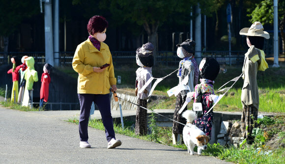 18일 대구 북구 학정동 들녘에 ‘논두렁밭두렁 마을축제’을 위해 주민들이 만든 허수아비가 정겨운 가을풍경을 연출하고 있다. 2023.10.18. 뉴시스