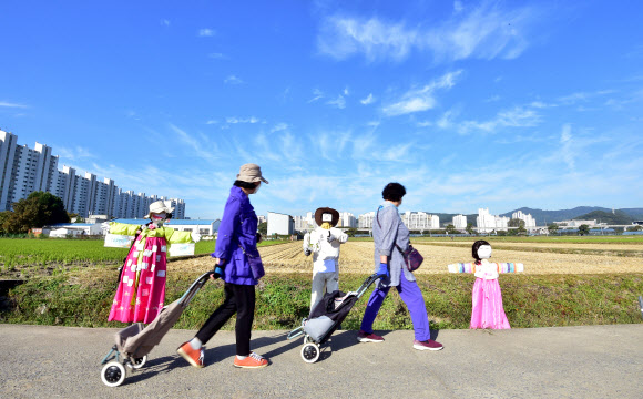 18일 대구 북구 학정동 들녘에 ‘논두렁밭두렁 마을축제’을 위해 주민들이 만든 허수아비가 정겨운 가을풍경을 연출하고 있다. 2023.10.18.  뉴시스