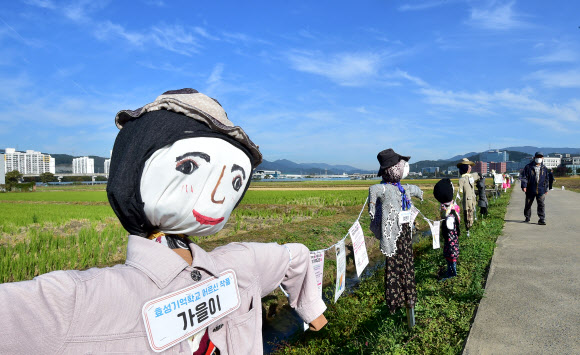 18일 대구 북구 학정동 들녘에 ‘논두렁밭두렁 마을축제’을 위해 주민들이 만든 허수아비가 정겨운 가을풍경을 연출하고 있다. 2023.10.18. 뉴시스