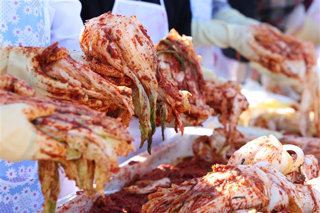 처음 접해보는 김장 문화