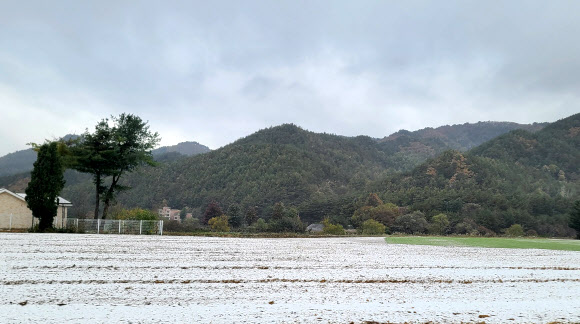 강원도 내 곳곳이 올가을 들어 가장 추운 날씨를 보인 21일 평창군 진부면의 한 농촌 마을에 눈이 내리고 있다. 강원지방기상청에 따르면 이날 설악산과 광덕산 등에 올가을 첫눈이 내렸다. 2023.10.21. 연합뉴스
