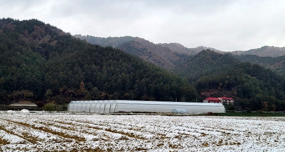 강원도 내 곳곳이 올가을 들어 가장 추운 날씨를 보인 21일 평창군 진부면의 한 농촌 마을에 눈이 내리고 있다. 강원지방기상청에 따르면 이날 설악산과 광덕산 등에 올가을 첫눈이 내렸다. 2023.10.21. 연합뉴스