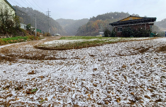 강원도 내 곳곳이 올가을 들어 가장 추운 날씨를 보인 21일 평창군 진부면의 한 농촌 마을에 눈이 내리고 있다. 강원지방기상청에 따르면 이날 설악산과 광덕산 등에 올가을 첫눈이 내렸다. 2023.10.21. 연합뉴스