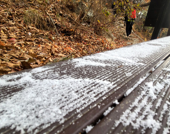 강원도 내 곳곳이 올가을 들어 가장 추운 날씨를 보인 21일 양양군 설악산 국립공원 오색대청 구간 고지대 탐방로에 내린 첫눈이 살짝 덮여 있다. 강원지방기상청에 따르면 설악산의 이날 최저 기온은 영하 5.6도를 기록했다. 2023.10.21. 독자 제공·연합뉴스