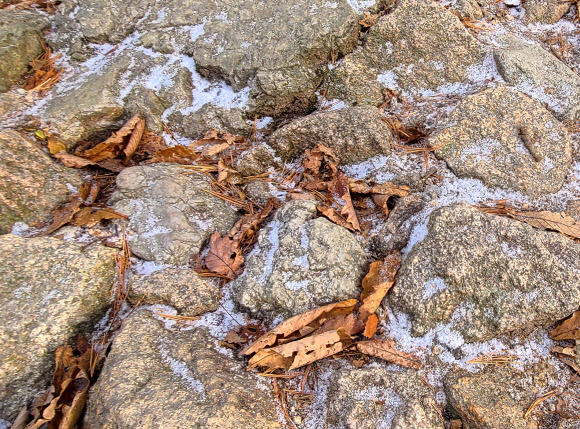 강원도 내 곳곳이 올가을 들어 가장 추운 날씨를 보인 21일 양양군 설악산 국립공원 오색대청 구간 고지대 탐방로의 낙엽에 첫눈이 살짝 덮여 있다. 강원지방기상청에 따르면 설악산의 이날 최저 기온은 영하 5.6도를 기록했다. 2023.10.21. 독자 제공·연합뉴스