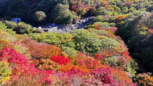 23일 오전 탐방객이 단풍이 곱게 든 제주 한라산 천아계곡에서 가을 정취를 만끽하고 있다. 2023.10.23 연합뉴스